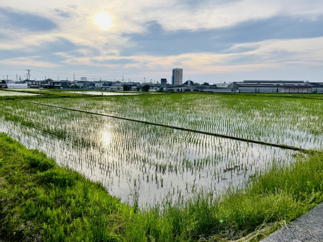 東国三社参り