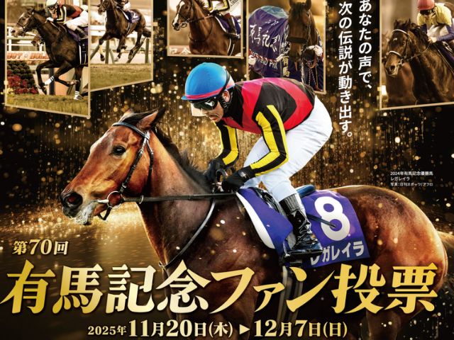 有馬記念の投票はいつから？ 2025最新版！スマホ投票のコツもガチ解説！ (4)